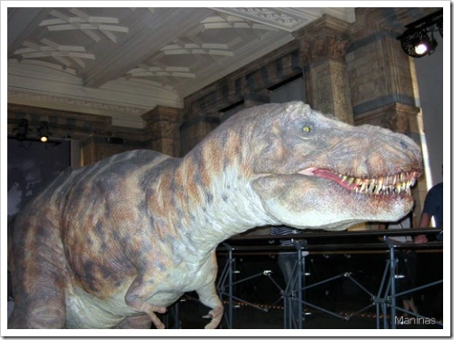 Dinosaur, British Museum